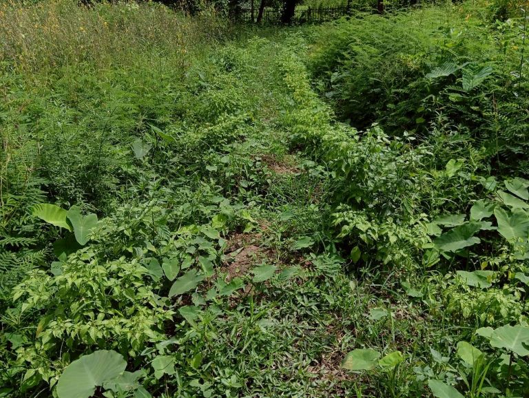 LINE_ALBUM_นาสหการ3_260714_12