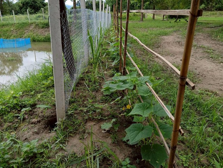 LINE_ALBUM_นาสหการ3_260714_13