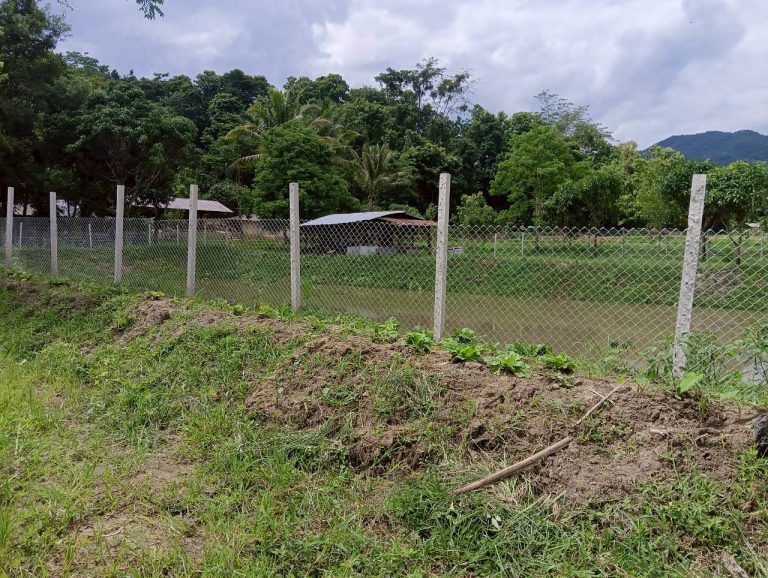 LINE_ALBUM_นาสหการ3_260714_15