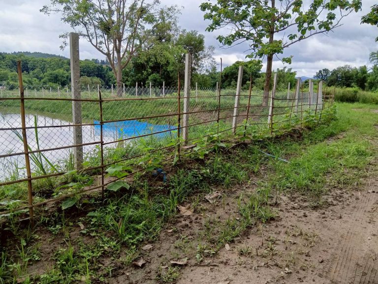 LINE_ALBUM_นาสหการ3_260714_15