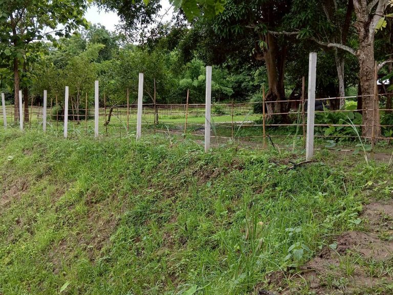LINE_ALBUM_นาสหการ3_260714_16