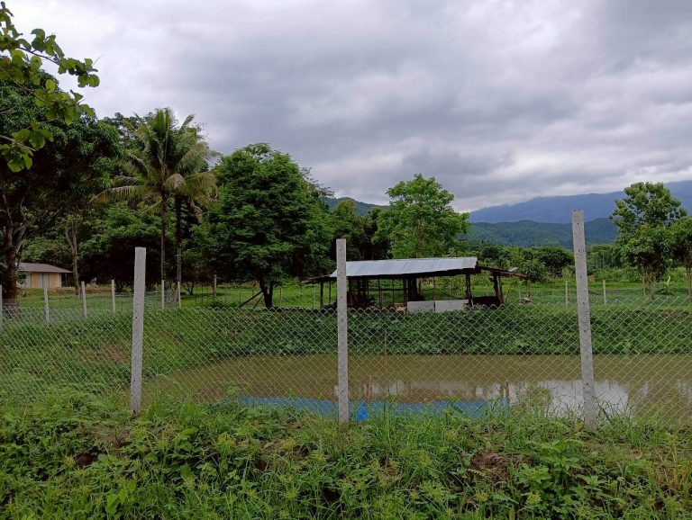 LINE_ALBUM_นาสหการ3_260714_3