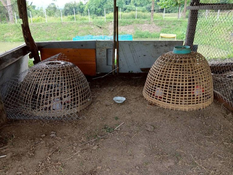 LINE_ALBUM_นาสหการ3_260714_3