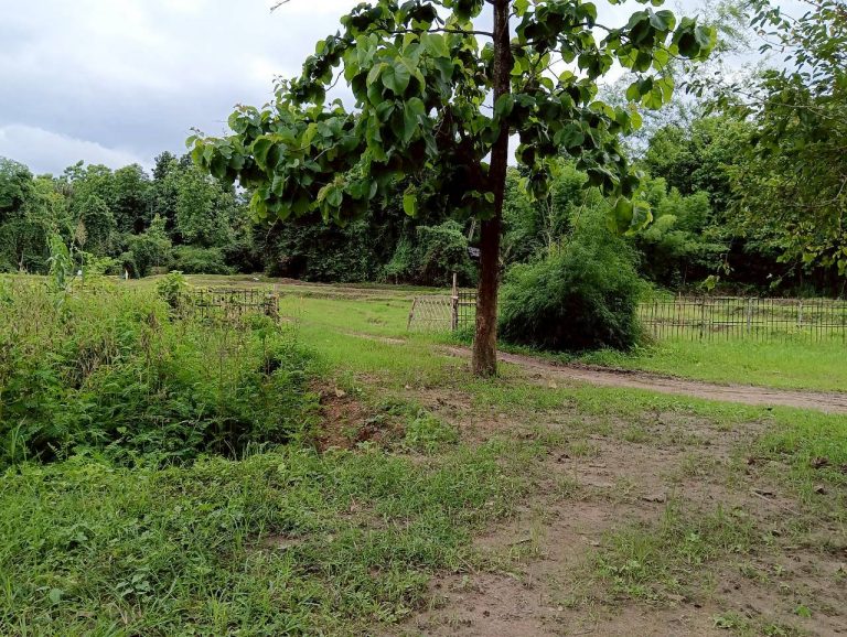 LINE_ALBUM_นาสหการ3_260714_4