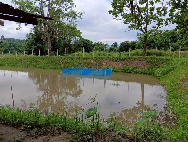 LINE_ALBUM_นาสหการ3_260714_5