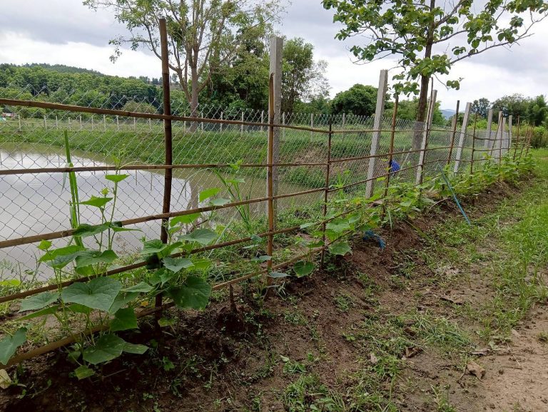 LINE_ALBUM_นาสหการ3_260714_6