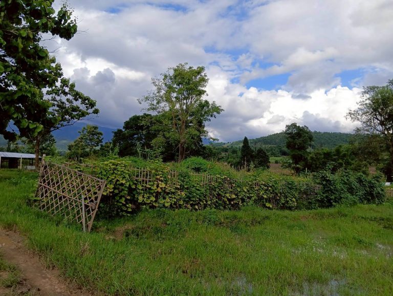 LINE_ALBUM_นาสหการ3_260714_7