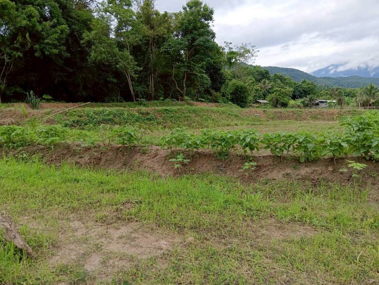 LINE_ALBUM_นาสหการ3_260714_7