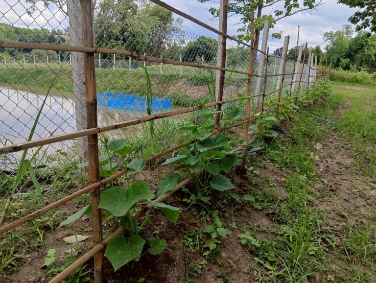 LINE_ALBUM_นาสหการ3_260714_7