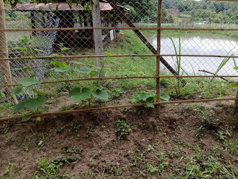 LINE_ALBUM_นาสหการ3_260714_7