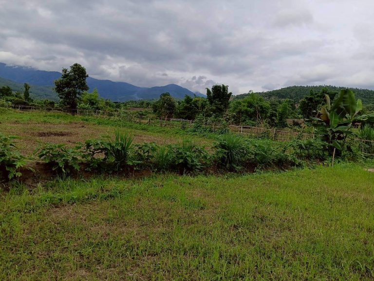 LINE_ALBUM_นาสหการ3_260714_8