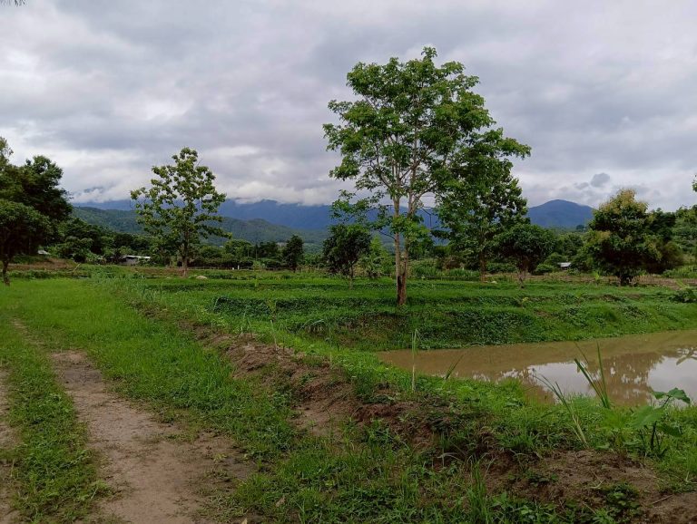 LINE_ALBUM_นาสหการ3_260714_9