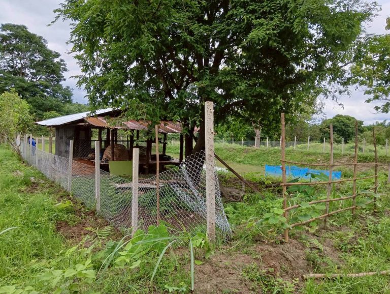 LINE_ALBUM_นาสหการ3_260714_9