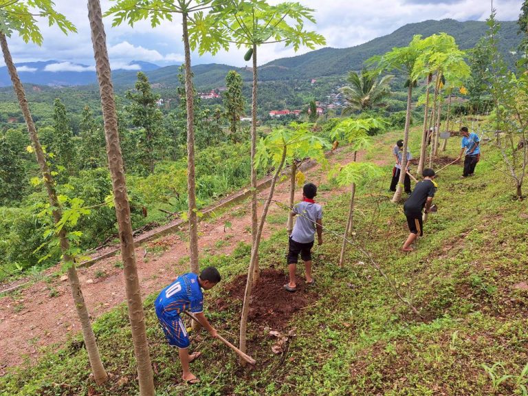 LINE_ALBUM_แปลงเกษตร 4_260710_10
