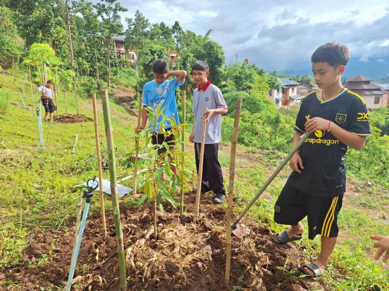LINE_ALBUM_แปลงเกษตร 4_260710_13