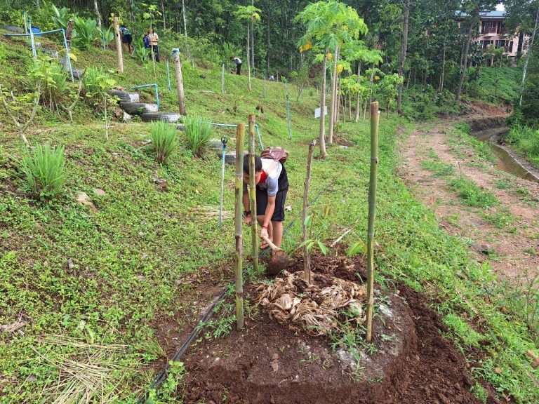 LINE_ALBUM_แปลงเกษตร 4_260710_15