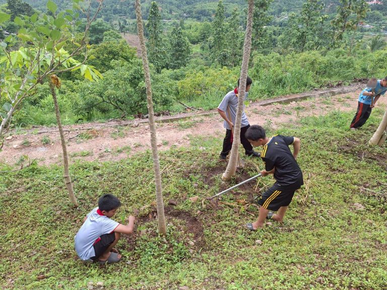 LINE_ALBUM_แปลงเกษตร 4_260710_8