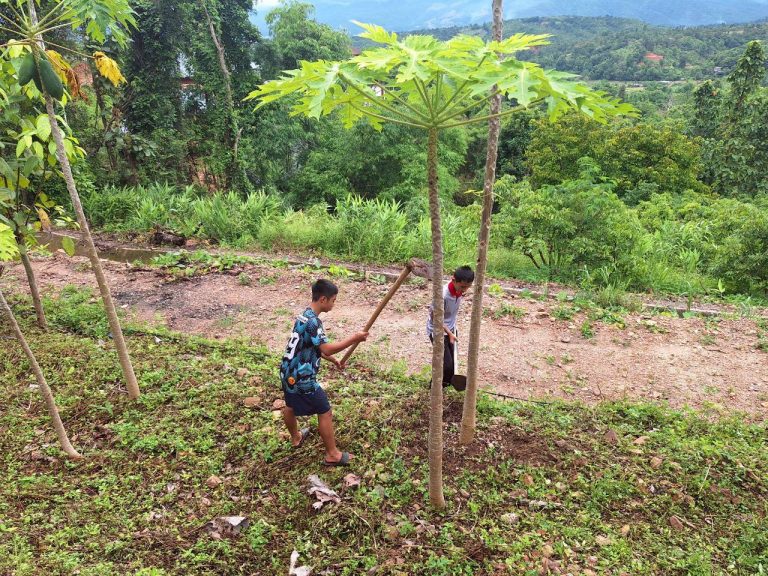 LINE_ALBUM_แปลงเกษตร 4_260710_9