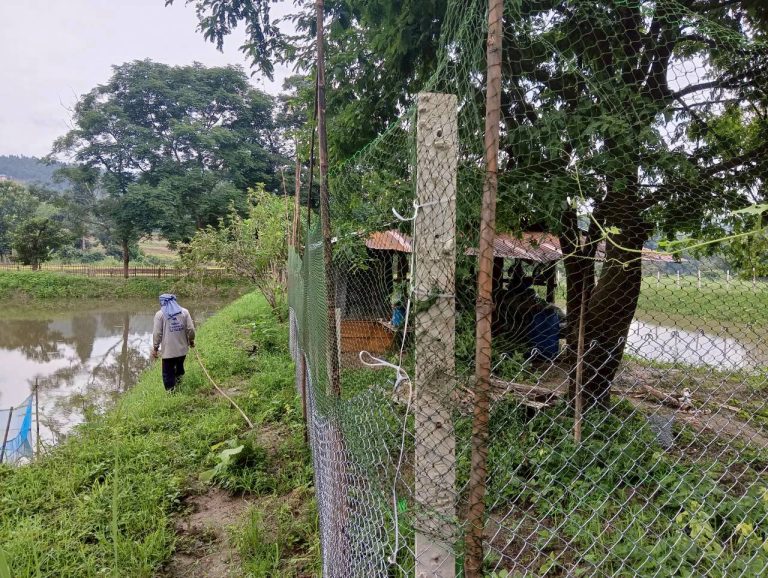 LINE_ALBUM_นาสหการ3_260806_2