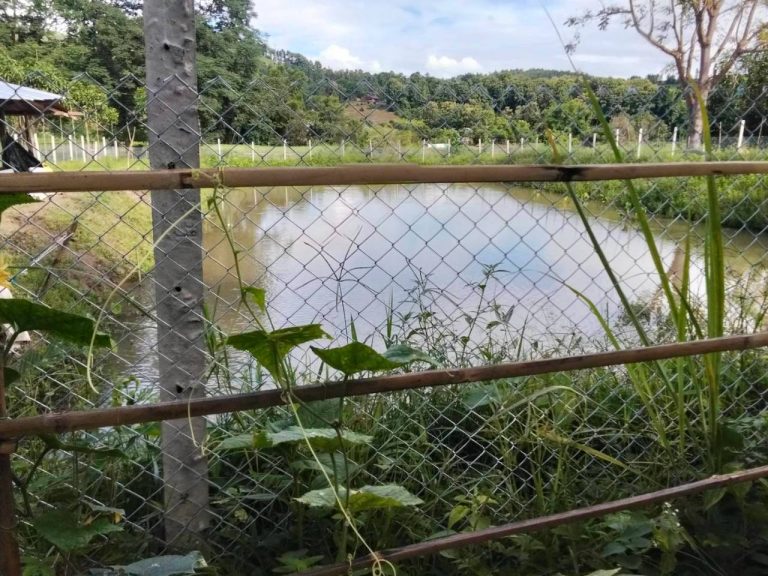 LINE_ALBUM_นาสหการ3_260818_10