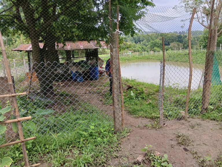 LINE_ALBUM_นาสหการ3_260818_11