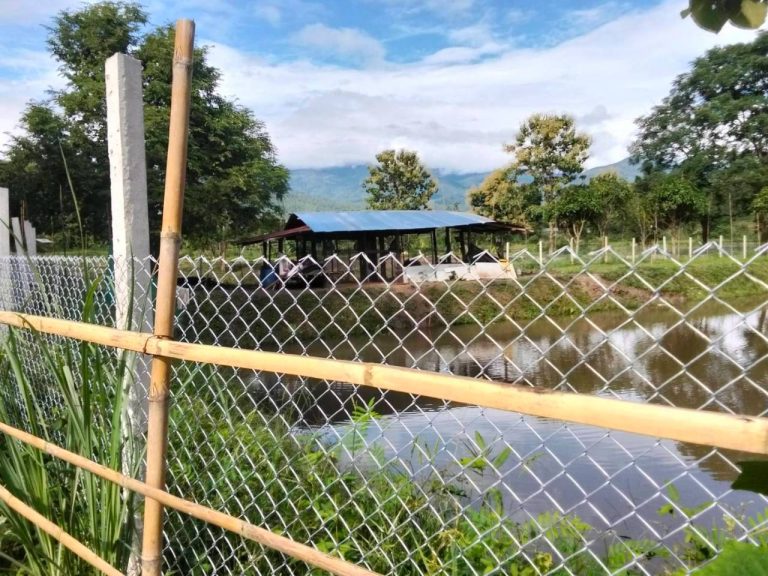 LINE_ALBUM_นาสหการ3_260818_11