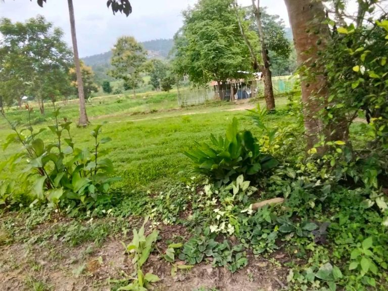 LINE_ALBUM_นาสหการ3_260818_11