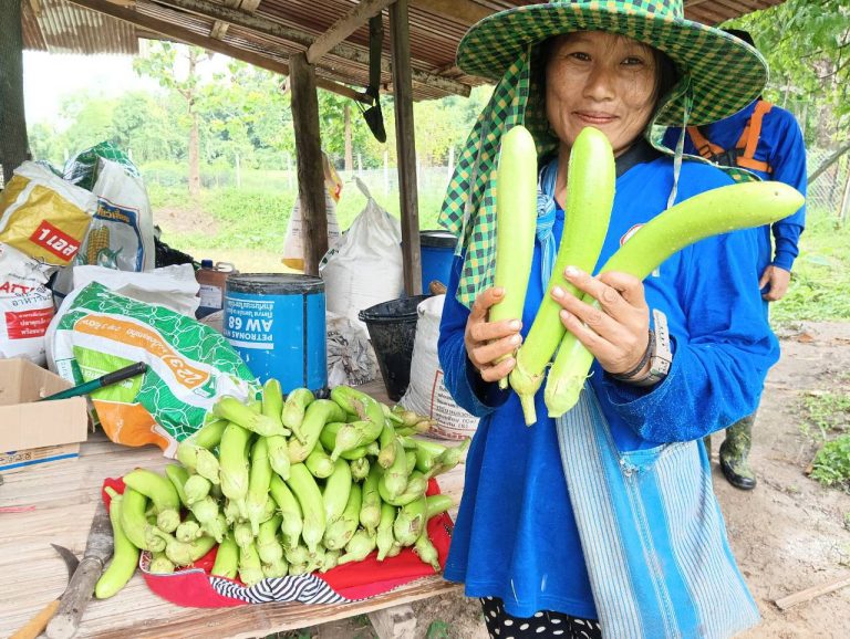 LINE_ALBUM_นาสหการ3_260818_12