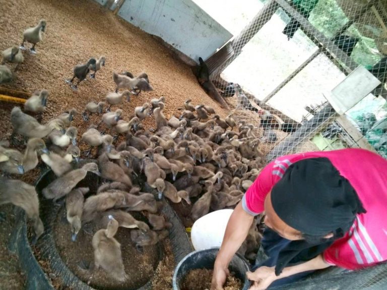 LINE_ALBUM_นาสหการ3_260818_16
