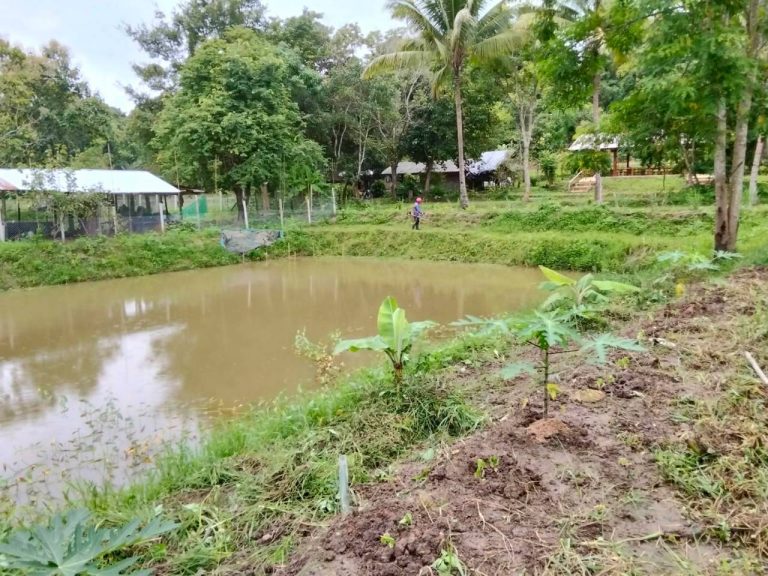 LINE_ALBUM_นาสหการ3_260818_2