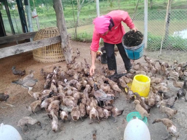 LINE_ALBUM_นาสหการ3_260818_2