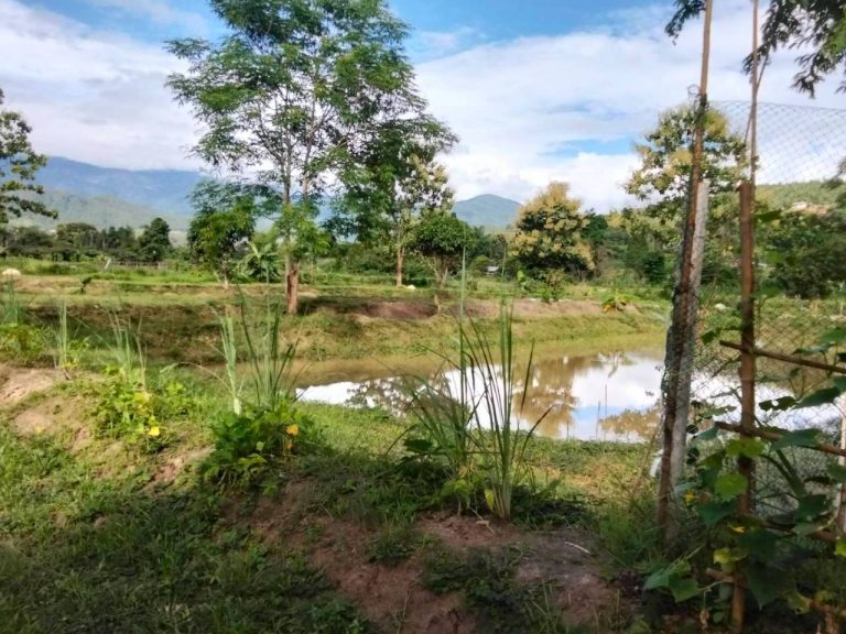 LINE_ALBUM_นาสหการ3_260818_3