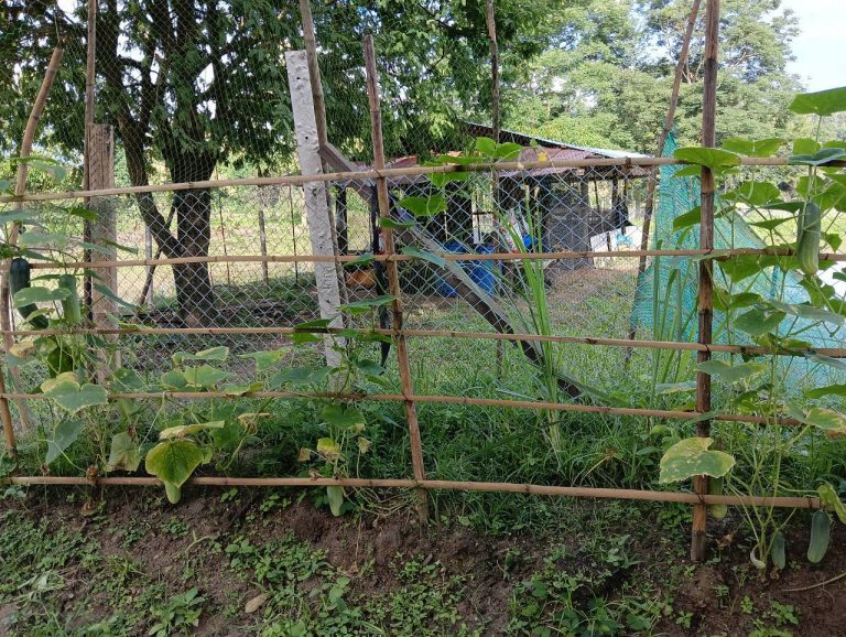 LINE_ALBUM_นาสหการ3_260818_4