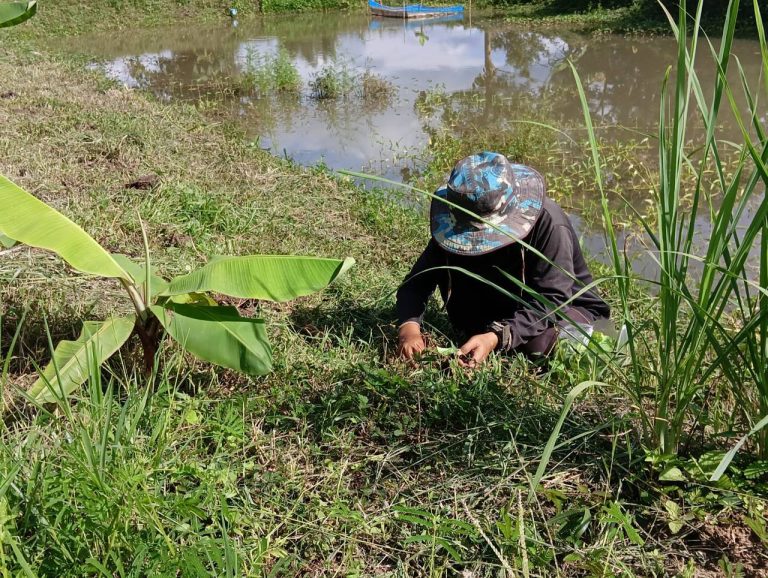 LINE_ALBUM_นาสหการ3_260818_4