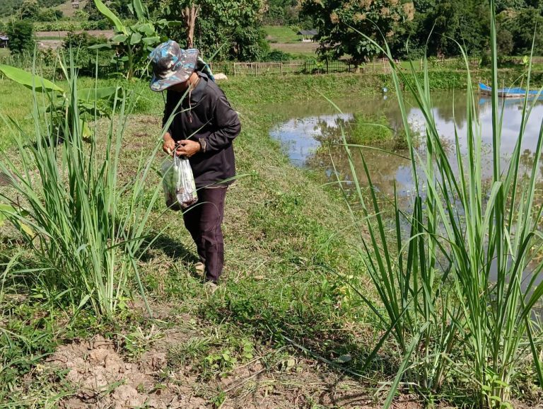 LINE_ALBUM_นาสหการ3_260818_5