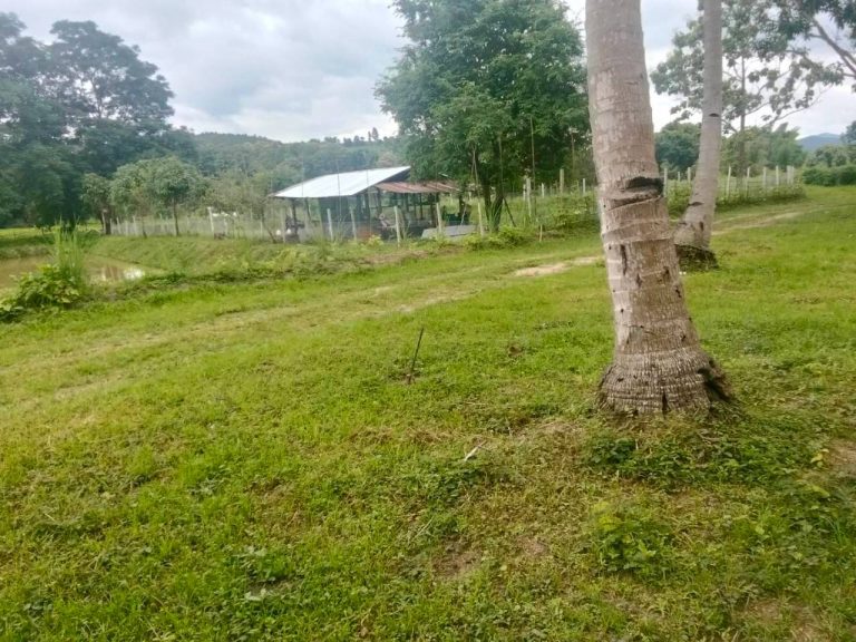 LINE_ALBUM_นาสหการ3_260818_5