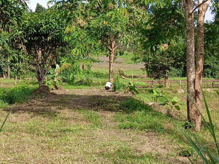 LINE_ALBUM_นาสหการ3_260818_6