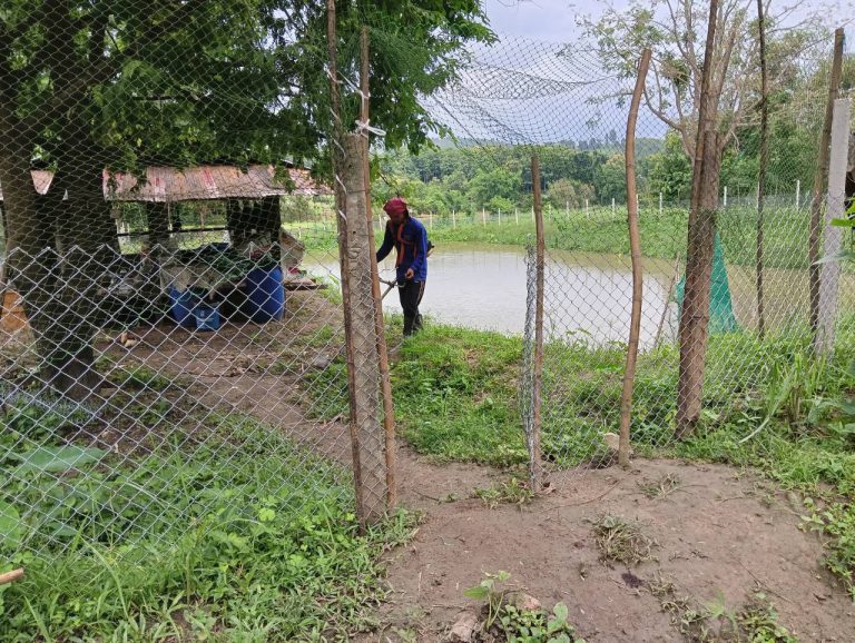 LINE_ALBUM_นาสหการ3_260818_9