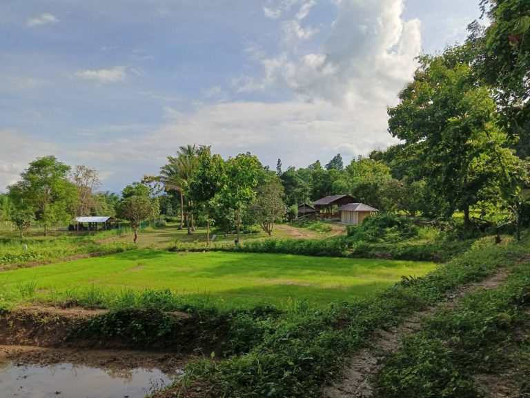 LINE_ALBUM_นาสหการ3_260818_9