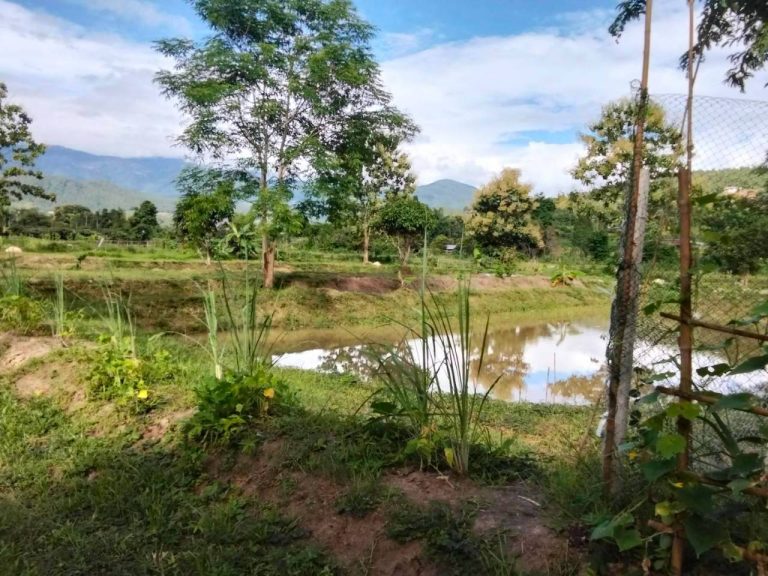 LINE_ALBUM_นาสหการ3_260818_9