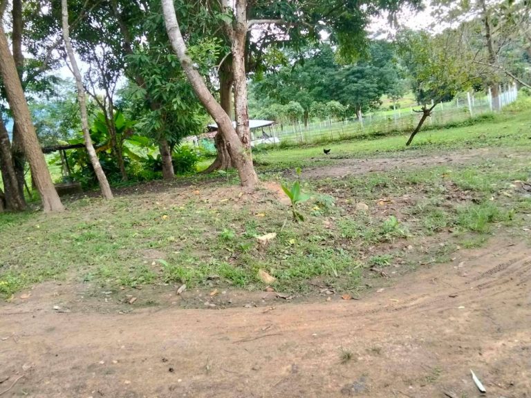 LINE_ALBUM_นาสหการ3_260821_12