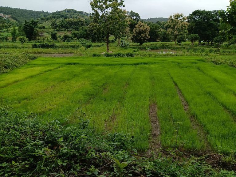 LINE_ALBUM_นาสหการ3_260821_14
