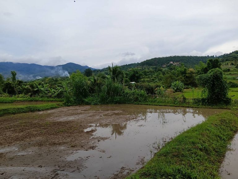 LINE_ALBUM_นาสหการ3_260821_9