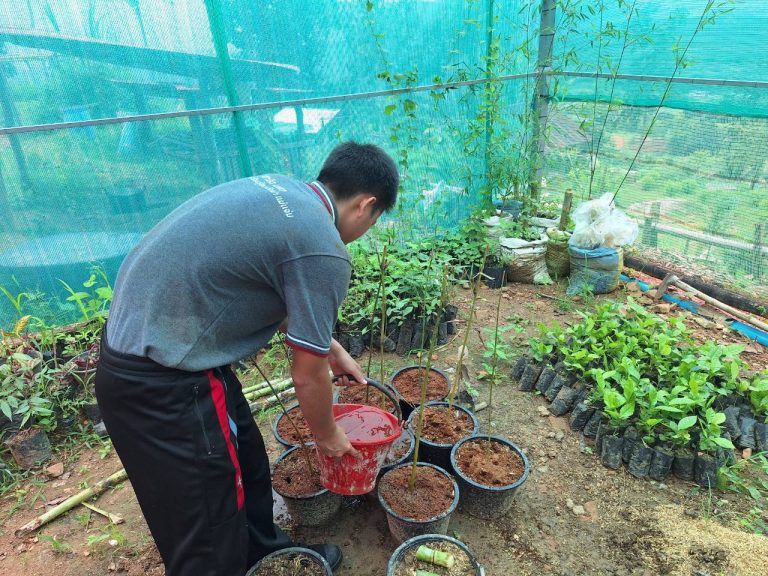 LINE_ALBUM_แปลงเกษตร 4_260818_10