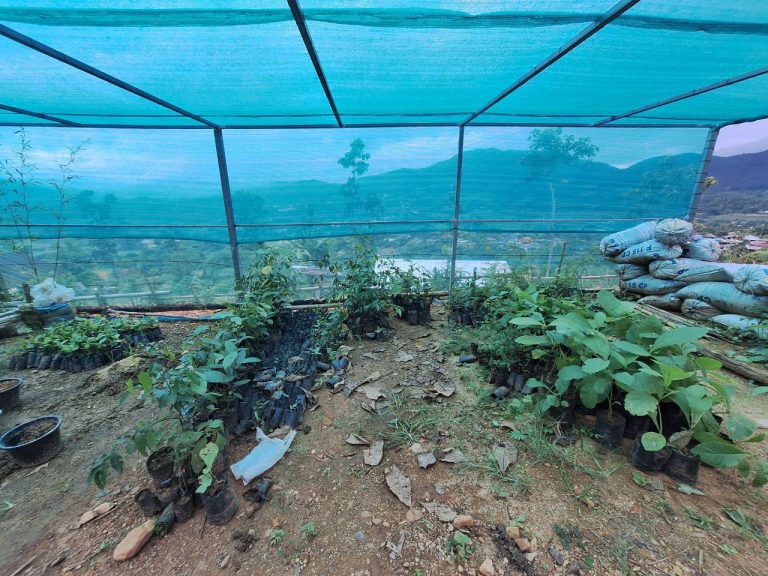 LINE_ALBUM_แปลงเกษตร 4_260818_12
