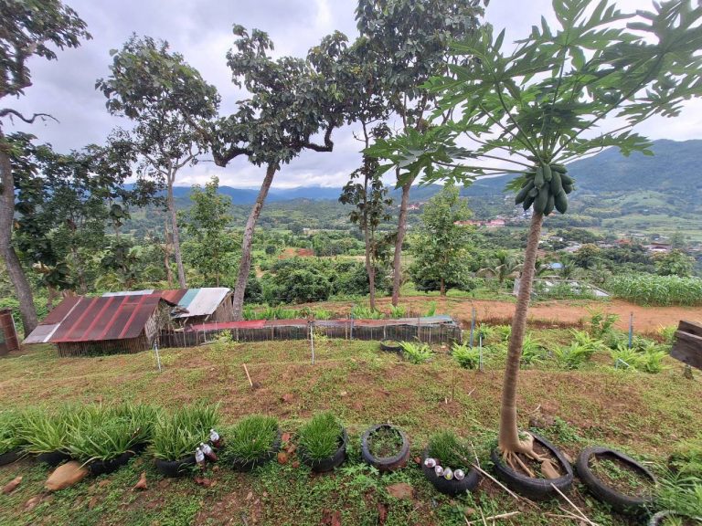 LINE_ALBUM_แปลงเกษตร 4_260818_16