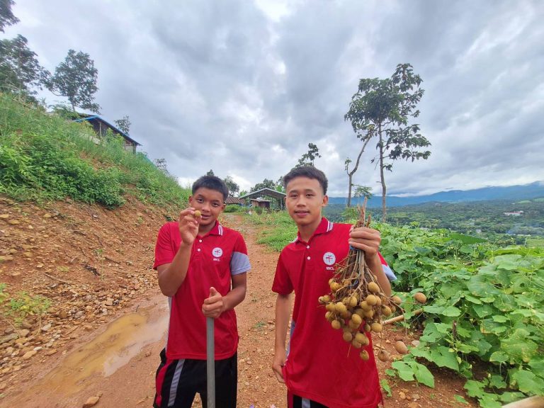 LINE_ALBUM_แปลงเกษตร 5_260819_13