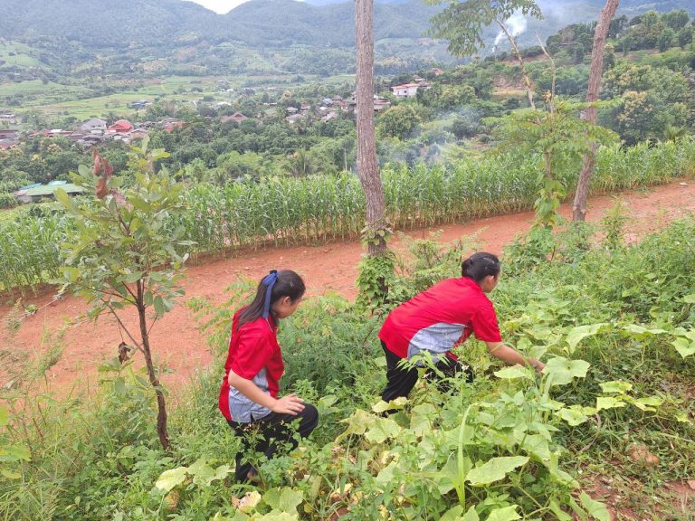 LINE_ALBUM_แปลงเกษตร 5_260819_14