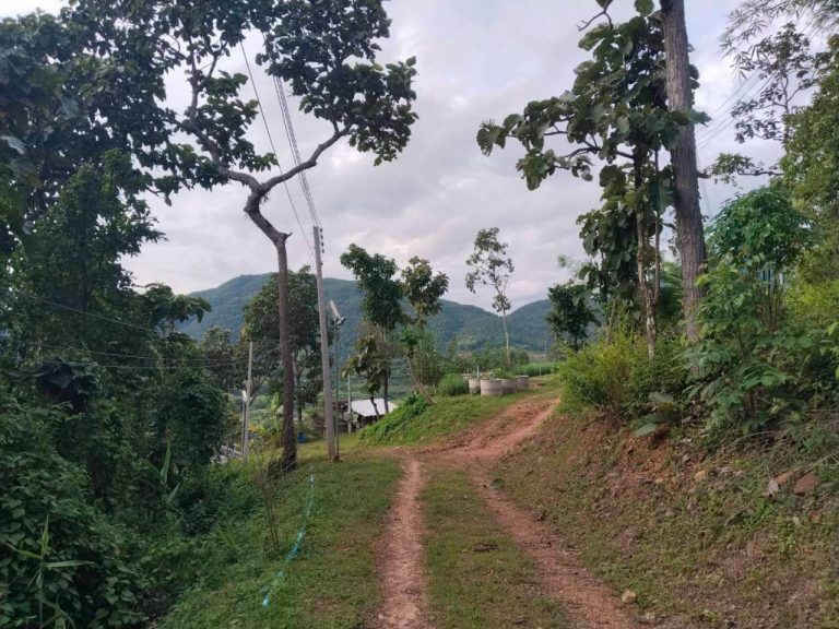 LINE_ALBUM_แปลงเกษตร 5_260819_2