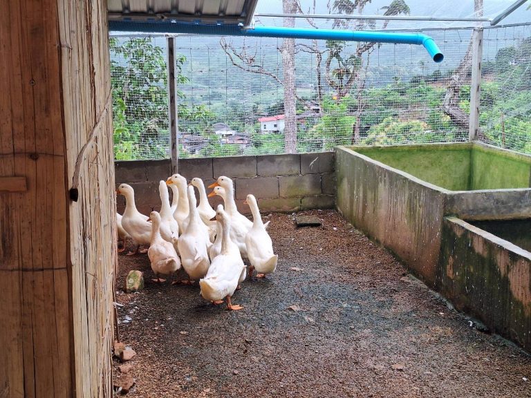 LINE_ALBUM_แปลงเกษตร 5_260819_35